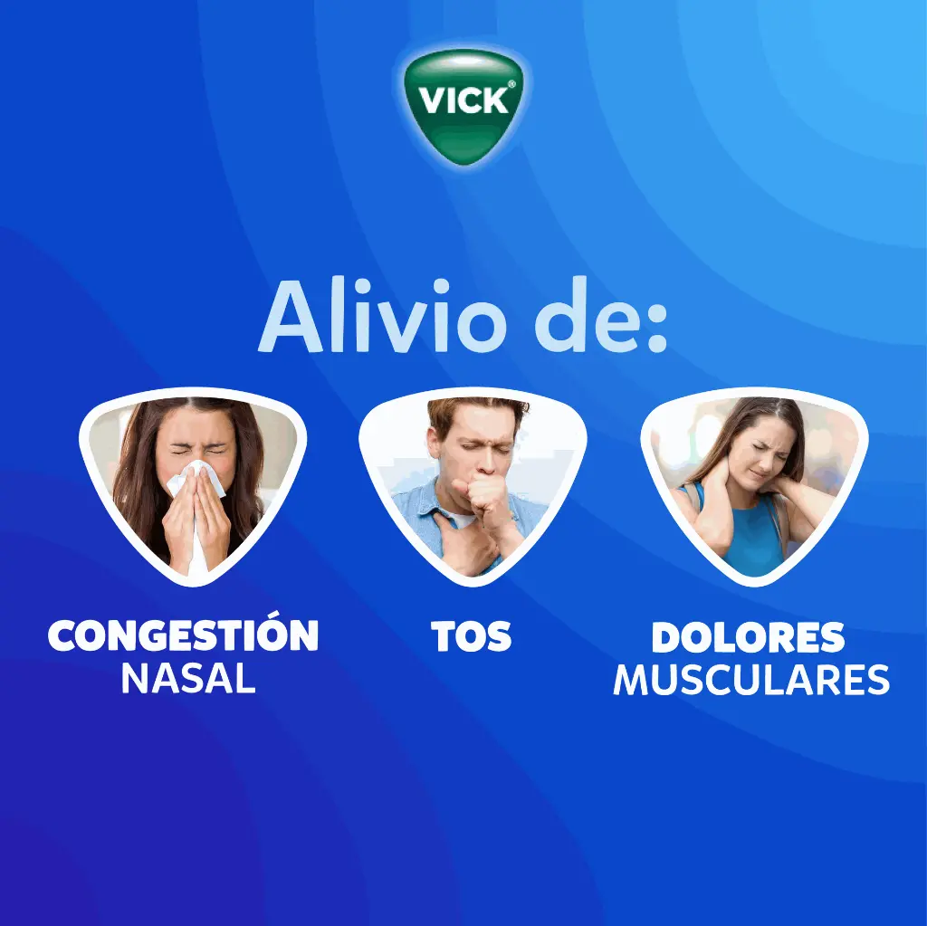 caracteristicas_vick.webp