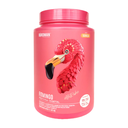 BIRDMAN FITMINGO VAINILLA PROTEINA 1.02 kg 1 Bote